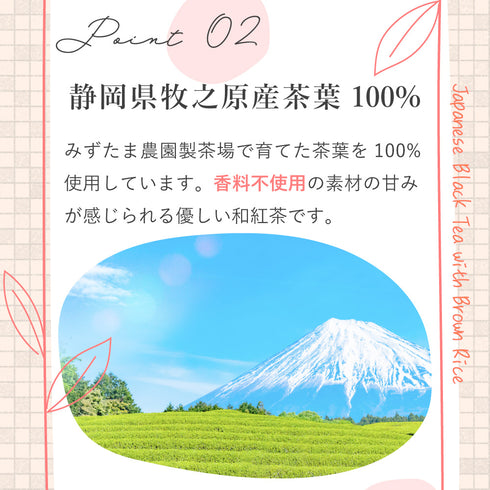 日本紅茶糙米茶包2g×100p